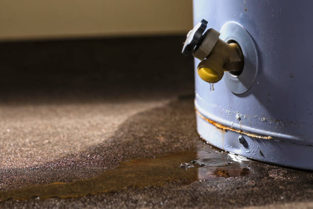Best Ceiling water damage repair  in St Bernard, OH