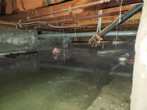 Water damage restoration experts in St Bernard, OH