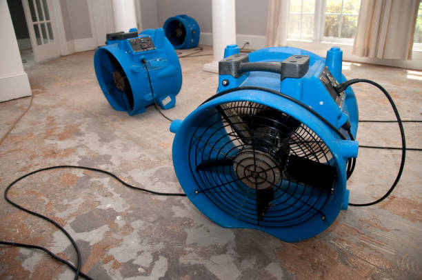 Best Water damage cleanup near me  in St Bernard, OH