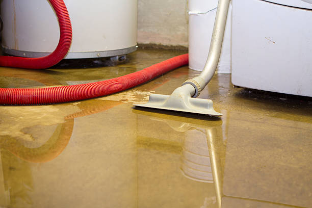Best Flood damage cleanup  in St Bernard, OH