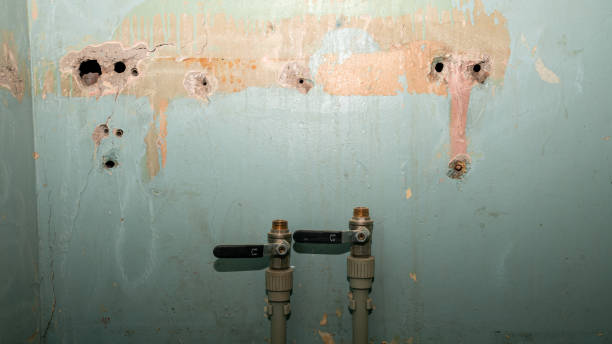 Best Water damage restoration specialists  in St Bernard, OH
