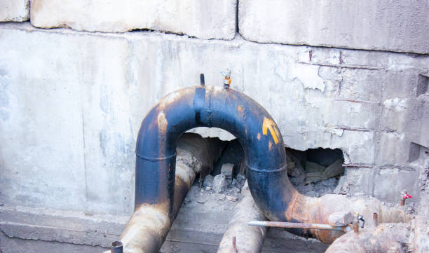 Best Professional water damage repair  in St Bernard, OH
